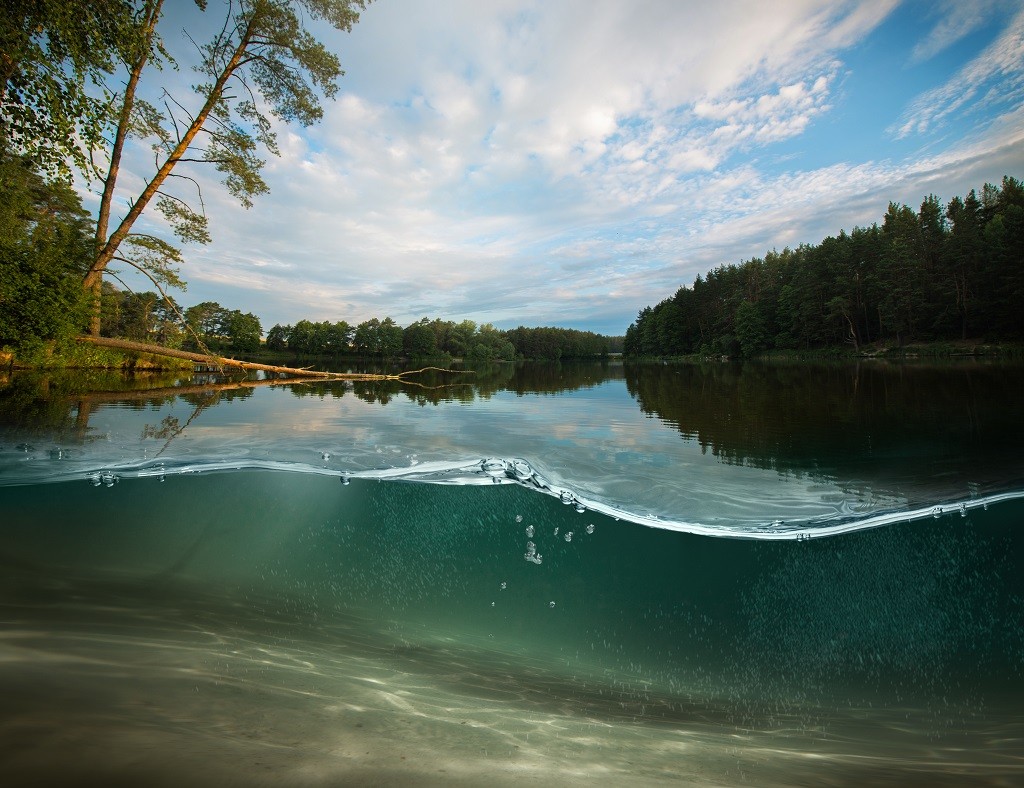 Zmineralizowane osady denne w jeziorze po zastosowaniu preparatu bakteryjnego EcoGerm Lakes