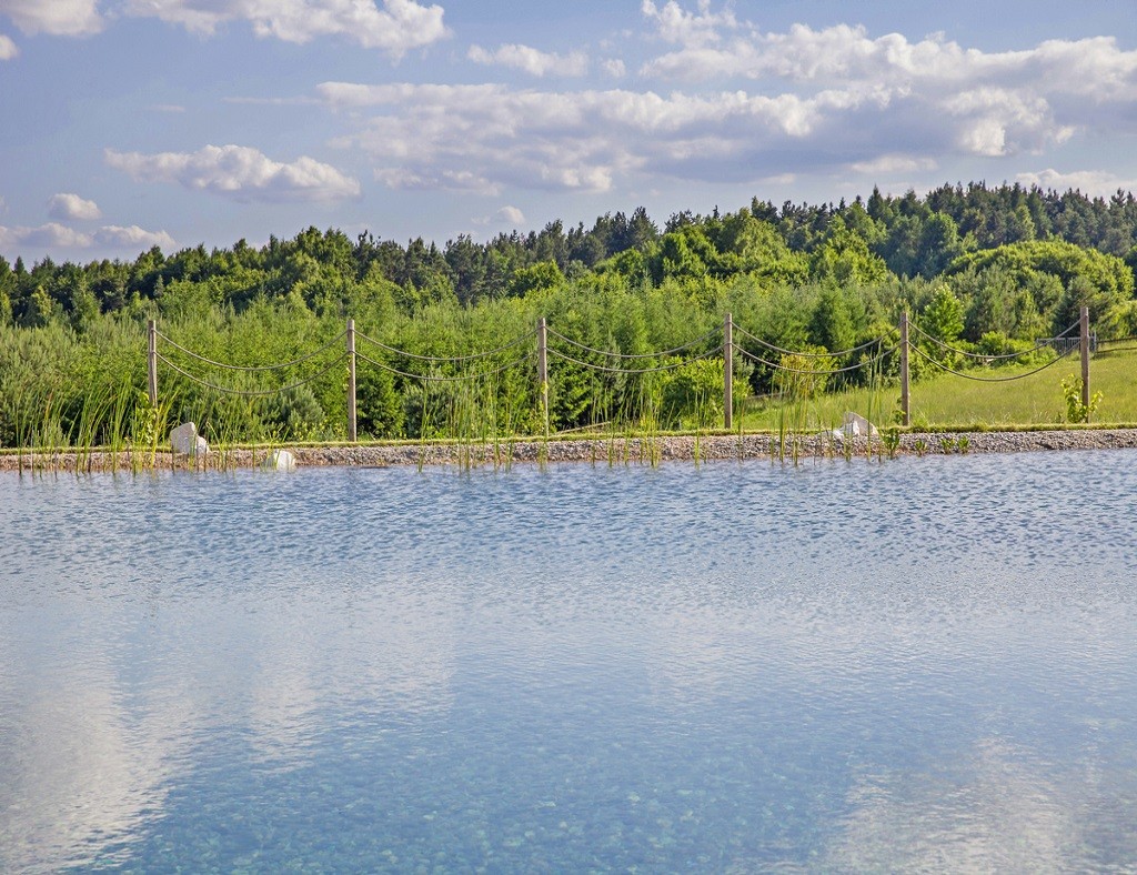 Naturalny basen kąpielowy z widokiem na las